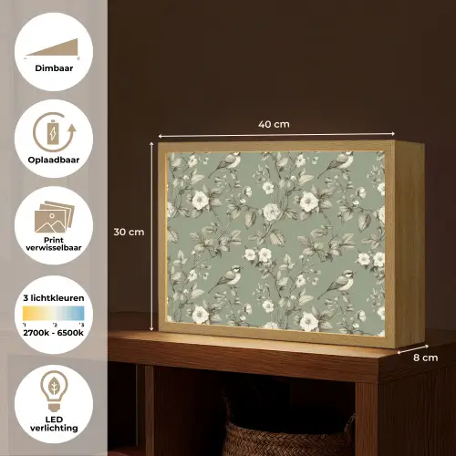 Botanisch - Vogels - Groen Light Box met batterij (Wandlamp) middel 907 -USP_websiteoverzichtNL