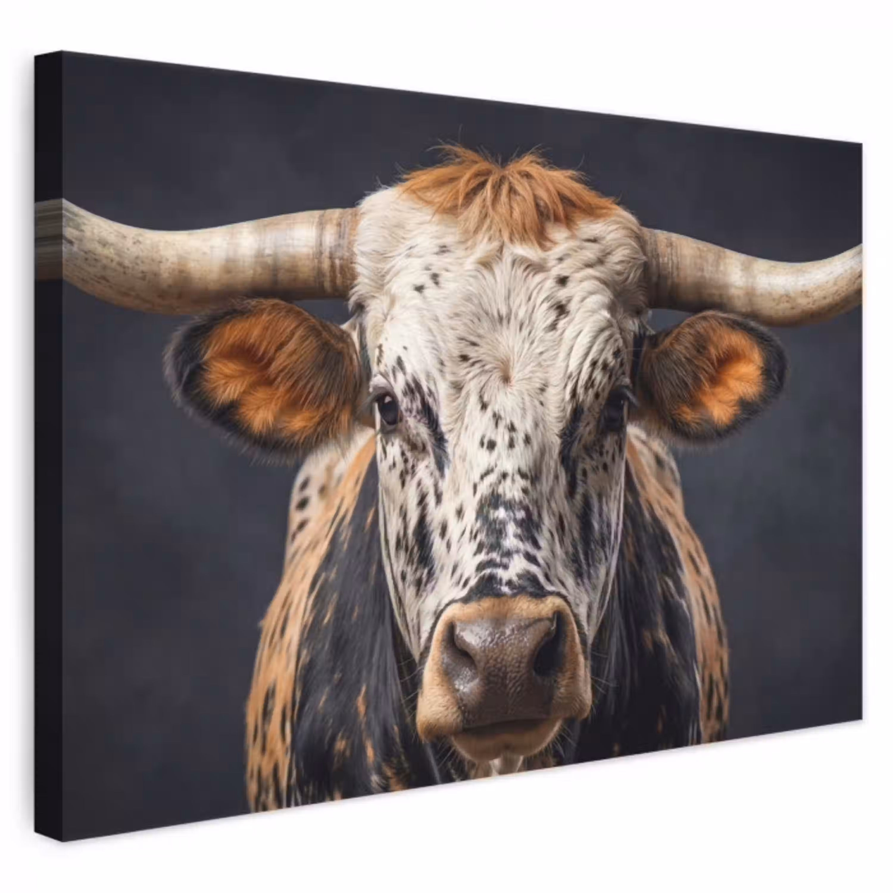 Stier - Kleurrijk - Hoorns canvas 2cm klein -3d