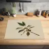 Tak - Groene Bladeren - Vruchten Inductie beschermer vinyl 3mm klein -sfeer5