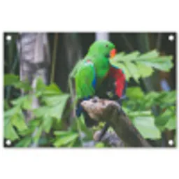 Vogel - Papegaai - Groen tuinposter los doek klein -3d