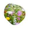 Bloemen - Natuur - Groen - Gras - Paars - Wit Wandcirkel Organisch Forex 3mm klein -3d