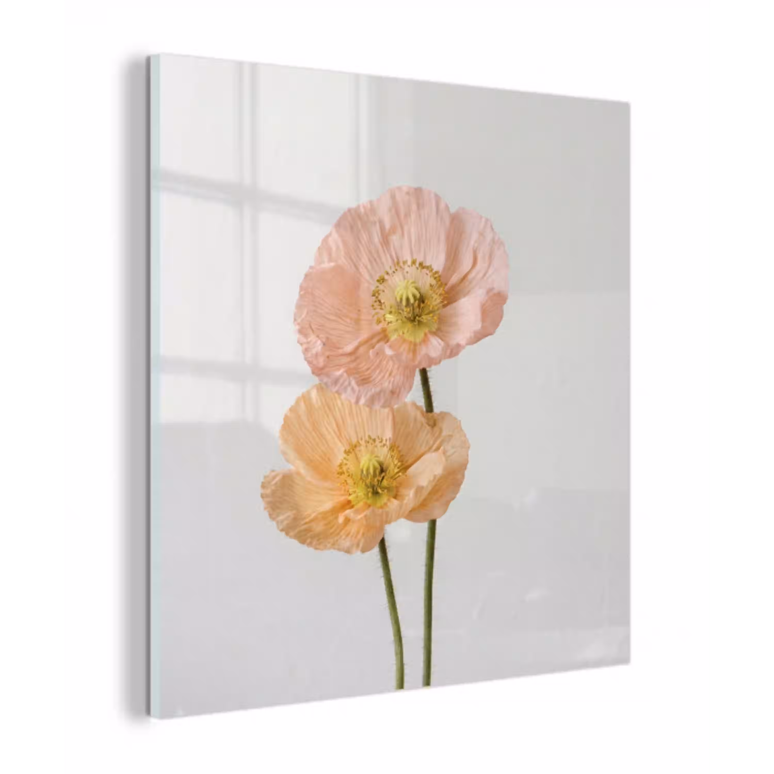 Papavers - Botanisch - Roze plexiglas 5mm klein -z3d