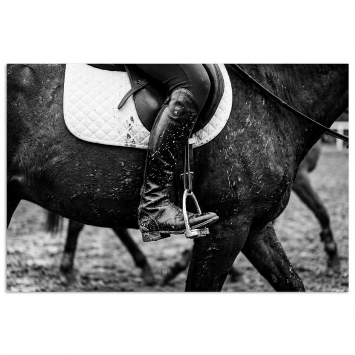 Paard - Sport - Zwart - Wit poster papier klein -3d