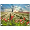 Windmolens en tulpenvelden bij zonsopgang tuinposter los doek klein -3d