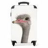 Siebrina Struisvogel Koffer - NBS - Handbagage middel -productfoto_recht
