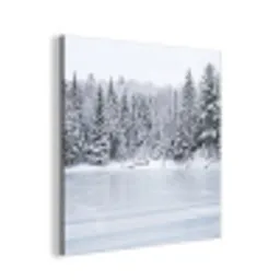 Meer - Dennen - IJs - Winter - Rustgevend aluminium wit klein -3d