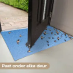 Zwaluwen - Vliegen - Blauw Deurmat klein -USP_NL