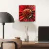 Close up - Bloem - Quote - Rood plexiglas 5mm klein -sfeer6