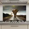 Olifant - Weg - Dieren - Zonsondergang - Landschap keuken achterwand spatscherm klein -3d_website