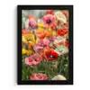 Bloemenveld - Klaprozen - Kleurrijk fotolijst zwart zonder passe partout klein -3d
