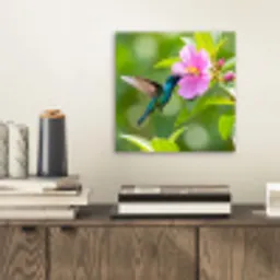 Kolibrie - Bloem - Natuur - Groen aluminium wit klein -sfeer1