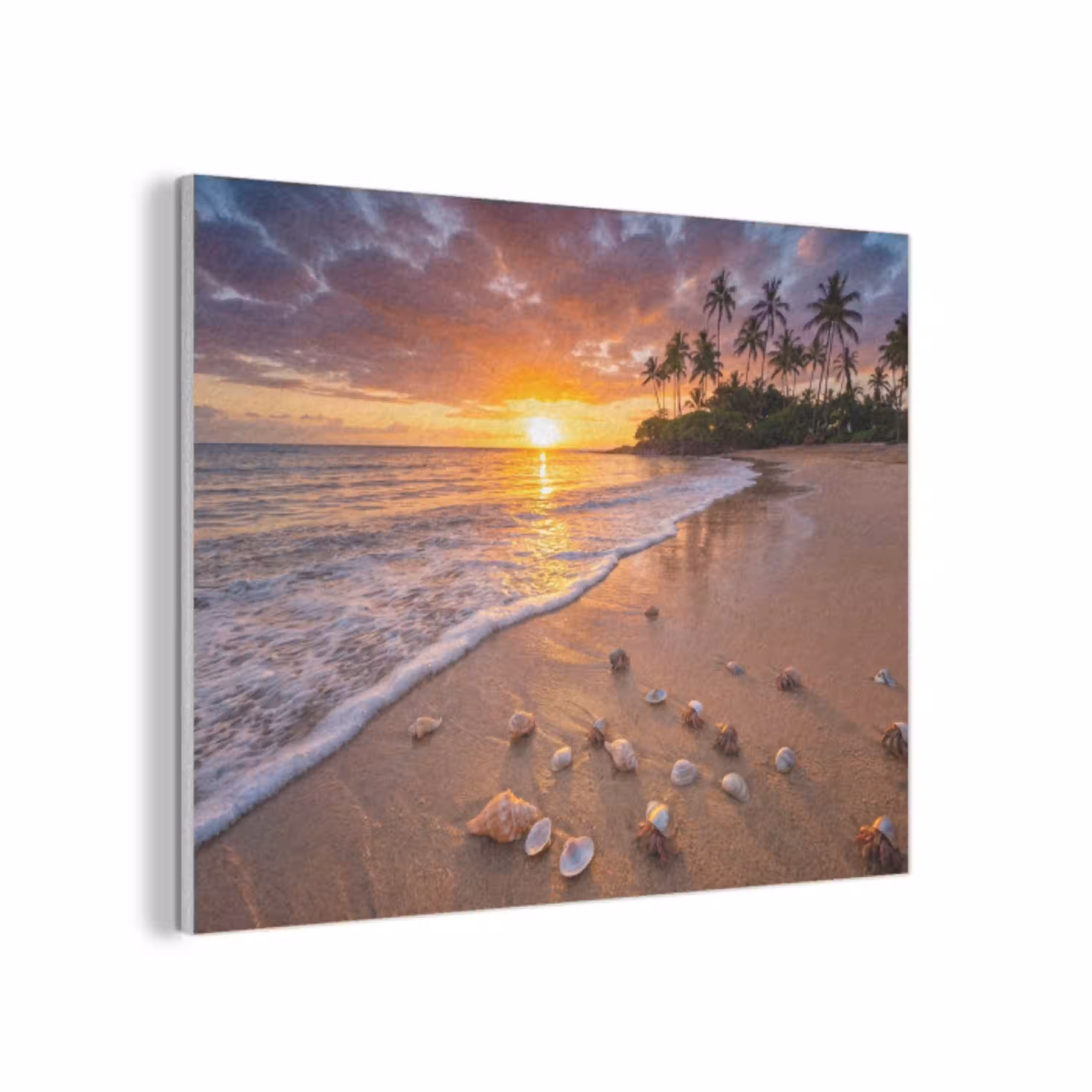 Strand - Zonsondergang - Palmbomen - Natuur - Oranje PET vilt klein -3d