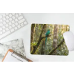 Quetzal - Jungle - Natuur - Groen muismat rubber klein -witbureau