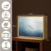 Meeuw - Wit - Zee - Mistig Light Box met batterij (Wandlamp) middel -USP_websiteoverzichtNL