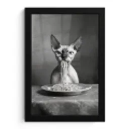 Sphynx - Kat - Dieren - Humor - Spaghetti - Zwart Wit fotolijst zwart zonder passe partout klein -3d