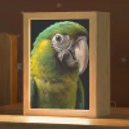 Ara - Portret - Groen Light Box met kabel (Kinderlampje) klein -zzz_3d_website