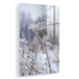 Schermbloem - Rijp - Kristallen - Winter - Delicaat plexiglas 5mm klein -zzzproduct_nieuw