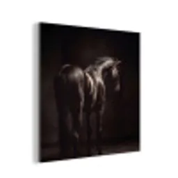 Krachtig - Paard - Donker aluminium wit klein -3d
