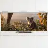 Koala - Bladeren - Ochtendlicht keuken achterwand 2 middel -3d