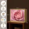 Roze - Roos - Romantisch Light Box met batterij (Wandlamp) middel -USP_websiteoverzichtNL