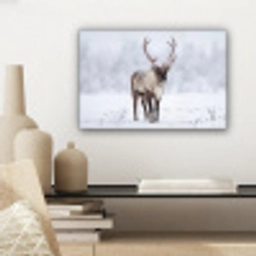 Rendier - Gewei - Toendra - Sneeuw - Wild canvas 2cm klein -sfeer6