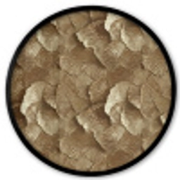 Organisch - Patroon - Bladeren - Goud Fotolijst rond zonder passe partout klein 856 -3d