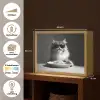 Langharige kat - Zonnebril - Spaghetti - Humor - Zwart - wit Light Box met batterij (Wandlamp) middel -USP_websiteoverzichtNL