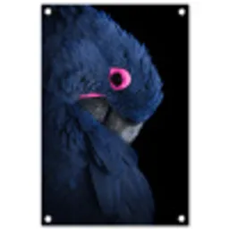 Papegaai - Vogel - Blauw tuinposter los doek klein -3d