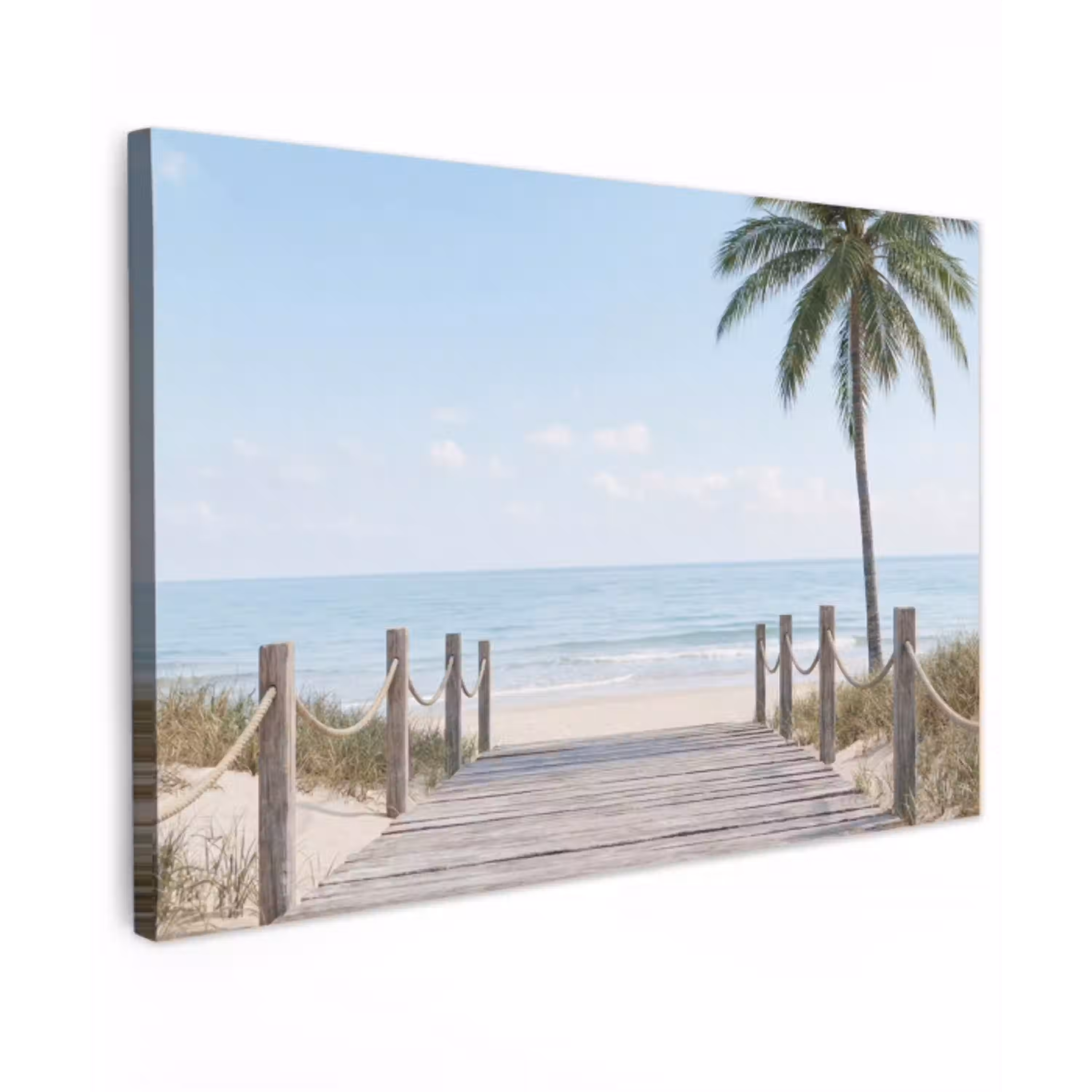 Palmbomen - Pad - Horizon canvas 2cm klein -z3d