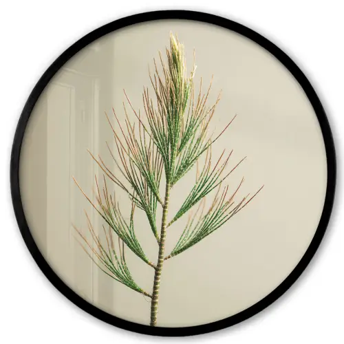 Dennentak - Naaldvormige bladeren - Lichtgroen Fotolijst rond zonder passe partout klein -3d