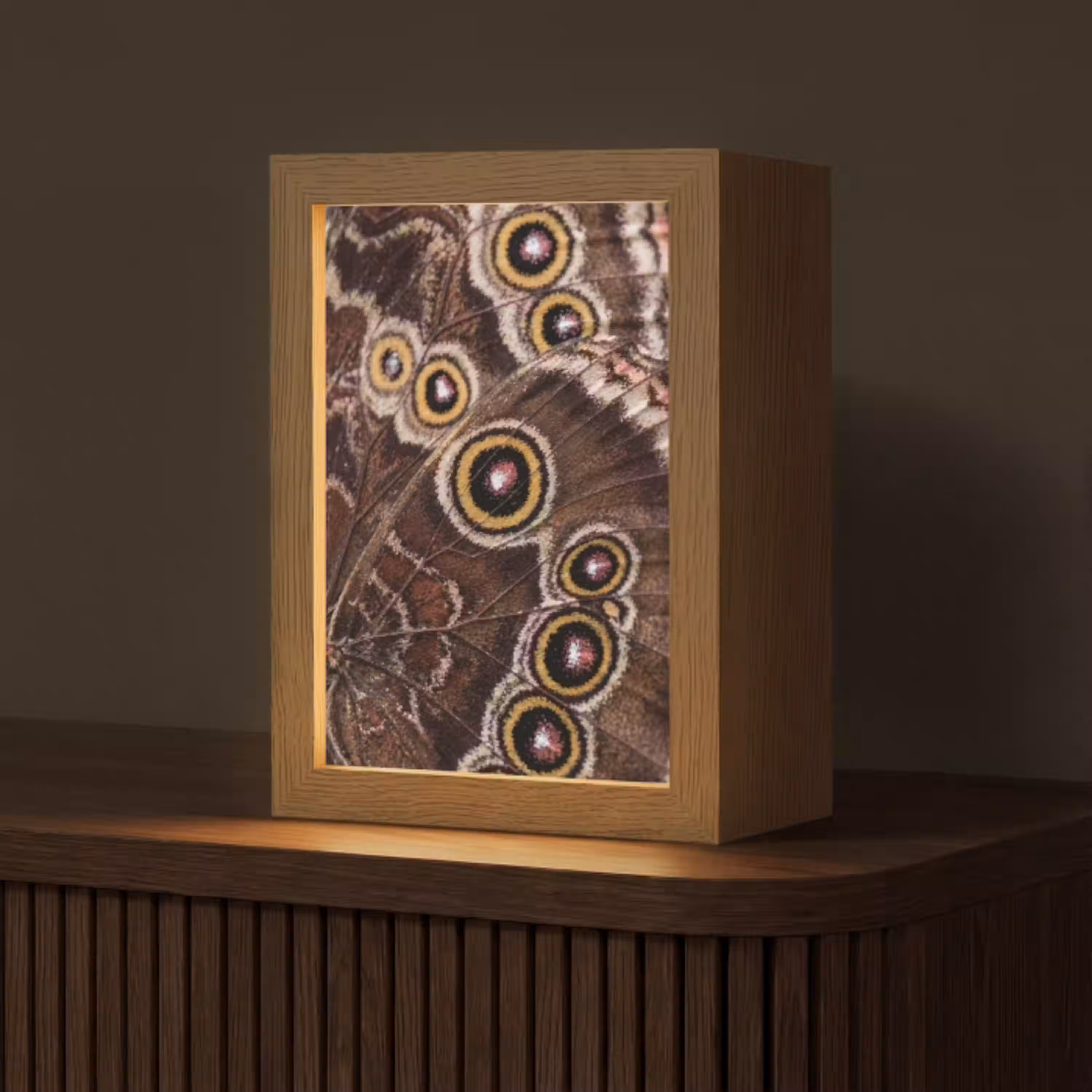 Vlinder - Vleugel - Abstract Light Box met kabel (Tafellamp) klein -z3d_website