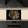Tijger - Wilde dieren - Portret keuken achterwand spatscherm klein -sfeer1