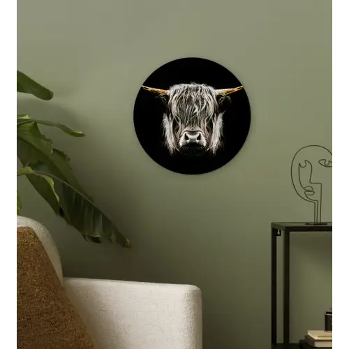 Schotse hooglander - Goud - Hoorns - Zwart wit - Koe - Dieren Wandcirkel kunststof plaat 5mm dik klein -sfeer3