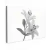 Lelies - Elegant - Zwart - Wit Tuinposter op houten frame 2 cm dik klein -3d