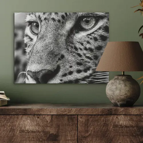 Luipaard - Zwart - Wit - Oog PET vilt klein -sfeer2