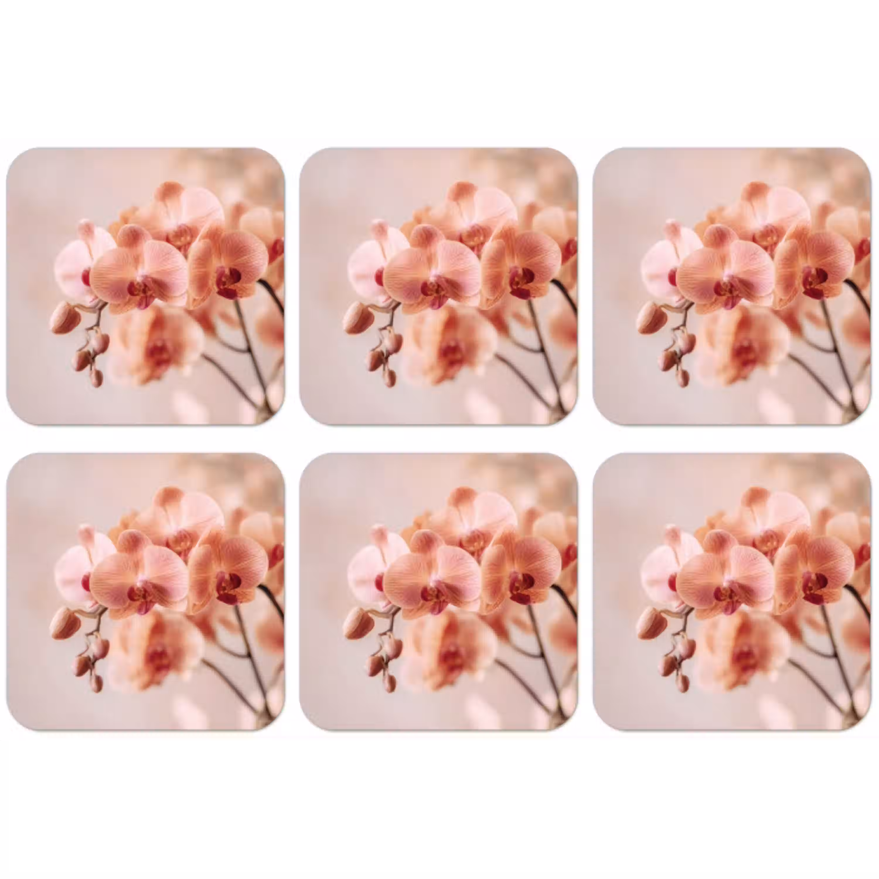 Orchidee - Bloemen - Roze - Bloemblaadjes onderzetter kurk middel -zkaufland3dotto