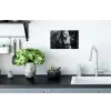 Paard - Schimmel - Portret Muursticker klein -keuken
