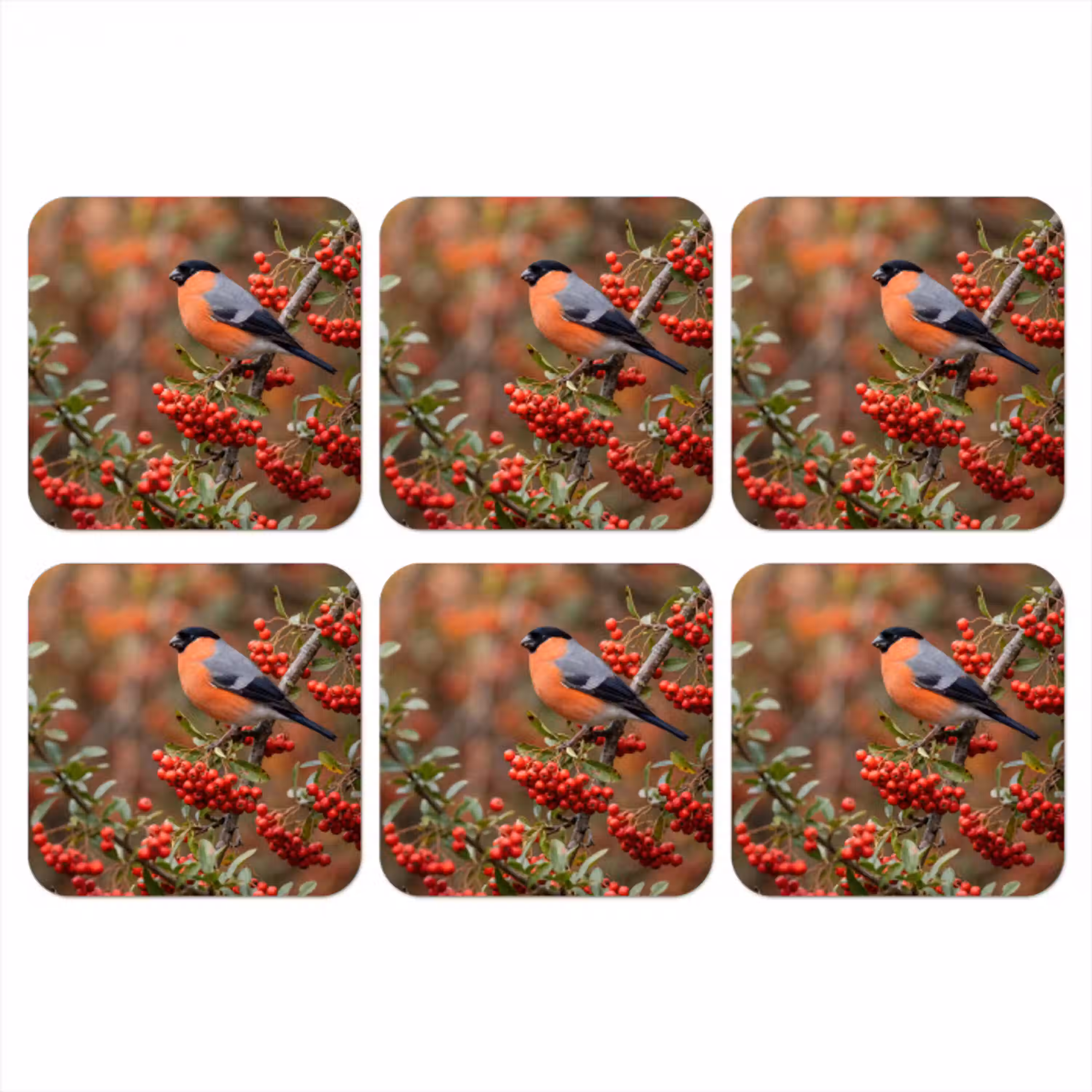 Goudvink - Bessen - Herfst - Natuur - Kleurrijk onderzetter kurk middel -3d