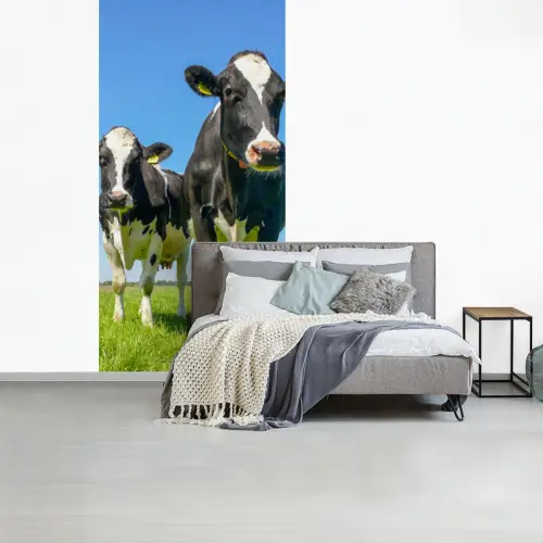 Koeien - Weiland - Gras - Dieren - Boerderij fotobehang vinyl groot -slaapkamer