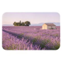Lavendel - Landschap - Sereen - Paars Badmat klein -3d