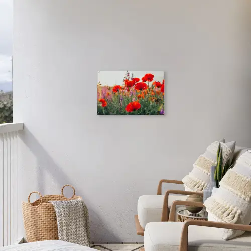 Rode klaprozen in de avondzon Tuinposter op houten frame 2 cm dik klein -sfeer1