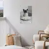 Kat - Siamees - Zwart Wit - Schattig - Dieren tuinposter los doek klein -sfeer8