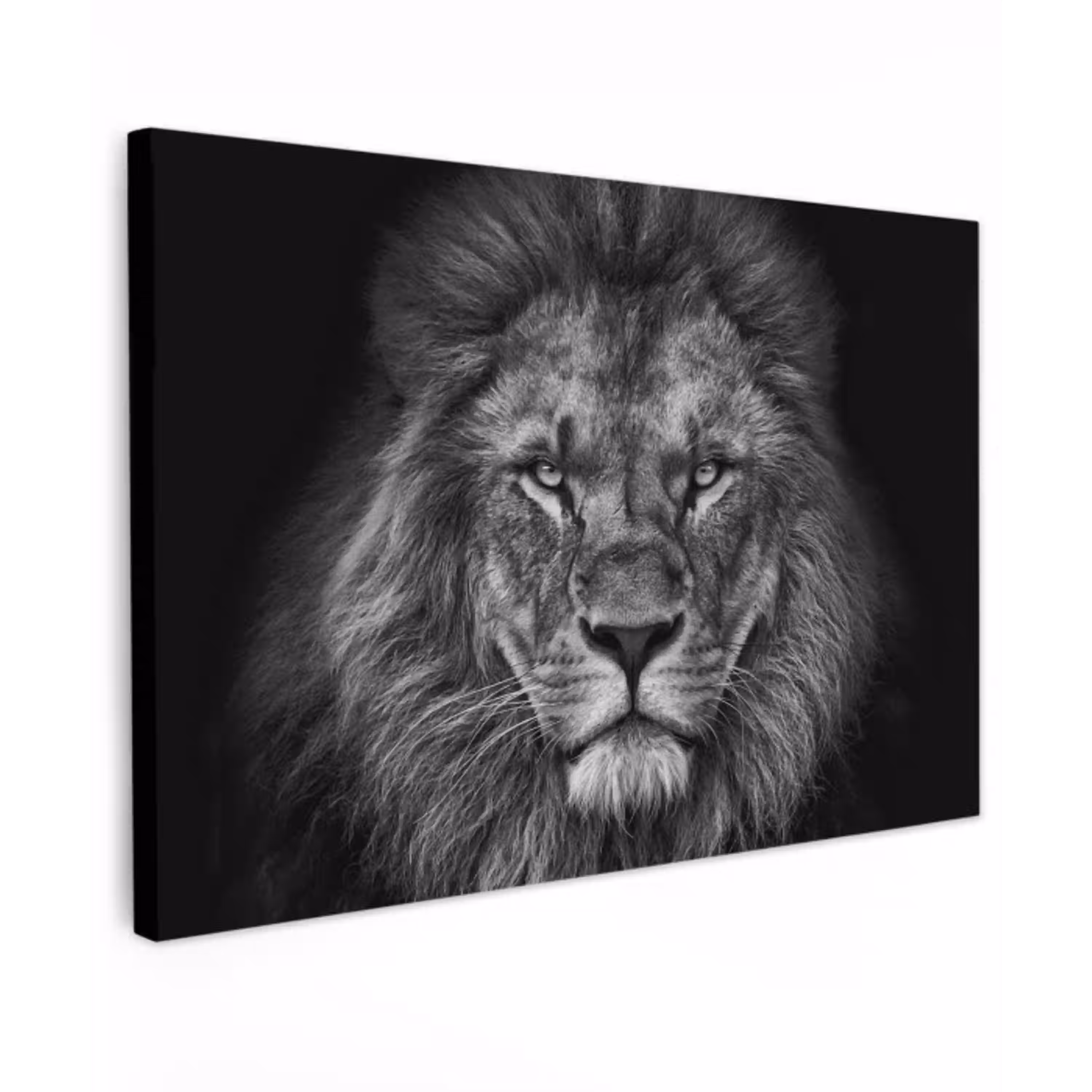 Leeuw - Dieren - Zwart - Wit canvas 2cm klein -z3d