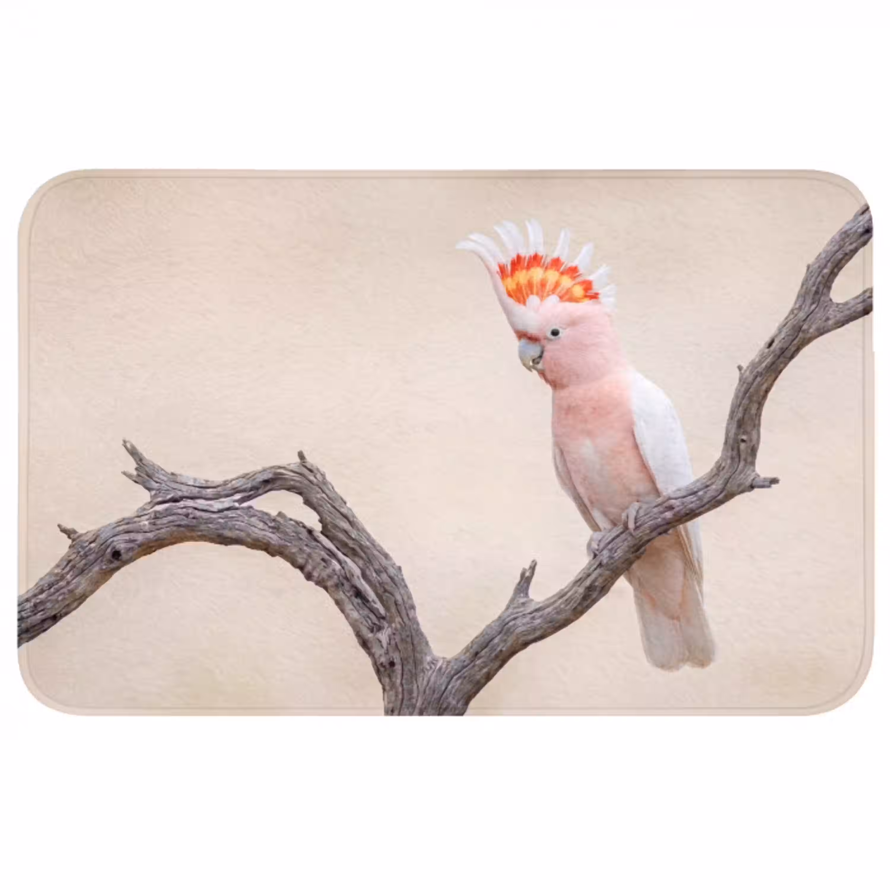 Papagaai - Tak - Roze Badmat middel -3d