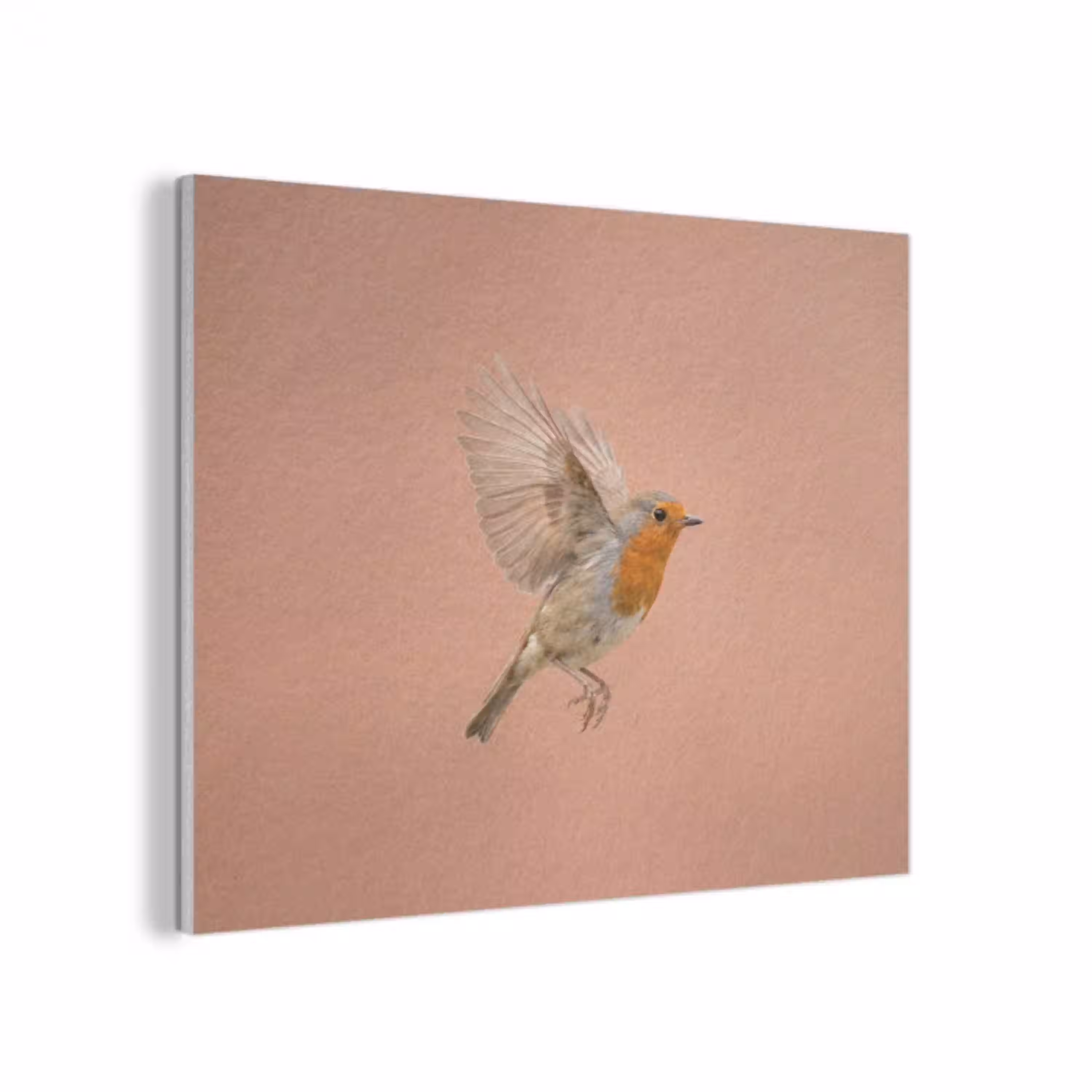 Roodborst - Natuur - Roze PET vilt klein -3d