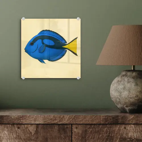 Blauw - Dory - Vis - Staartvin plexiglas 5mm klein -sfeer3