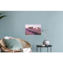 Lavendel - Landschap - Sereen - Paars Muursticker klein -plant