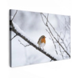 Roodborstje - Tak - Sneeuw - Winter - Levendig canvas 2cm klein -z3d