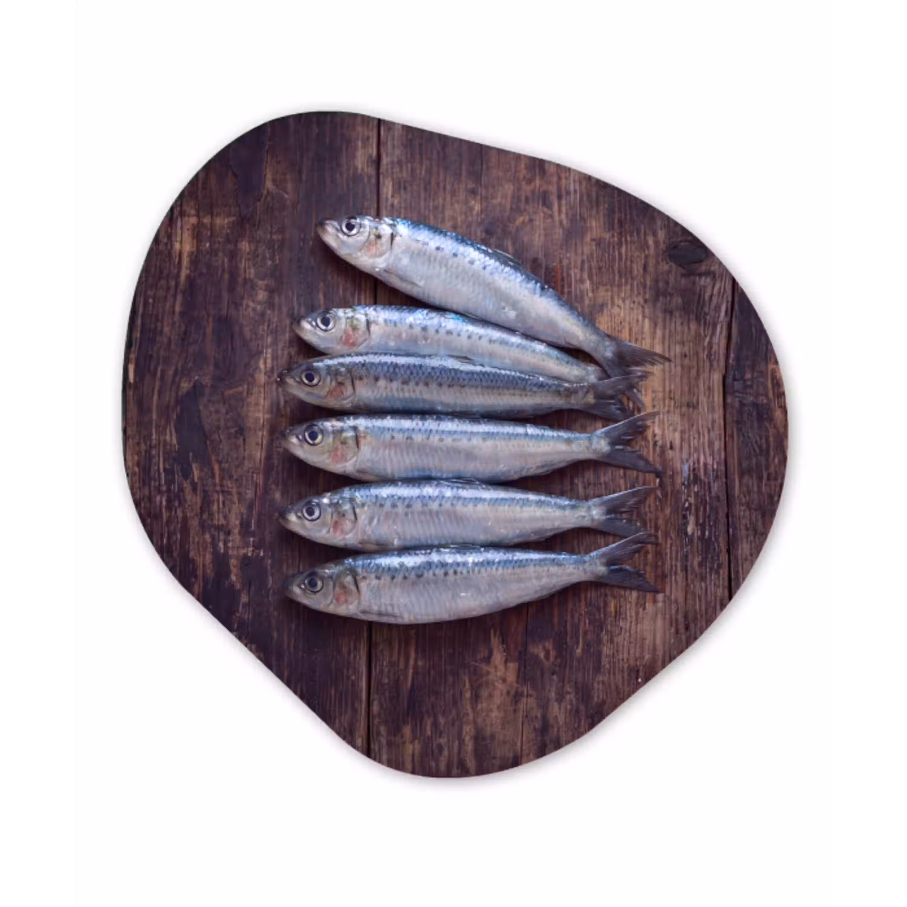 Vis - Hout - Eten Wandcirkel Organisch Forex 3mm klein -3d