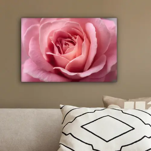 Roze - Roos - Romantisch canvas 2cm klein -sfeer3